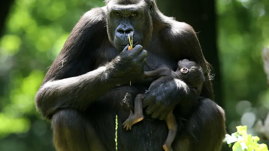 0b0732c56cb91afa74ac8150ba03f77d