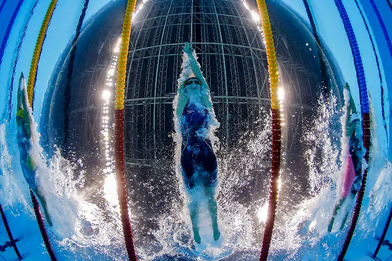 fa7d74771ec4227489ce821f804a98a7