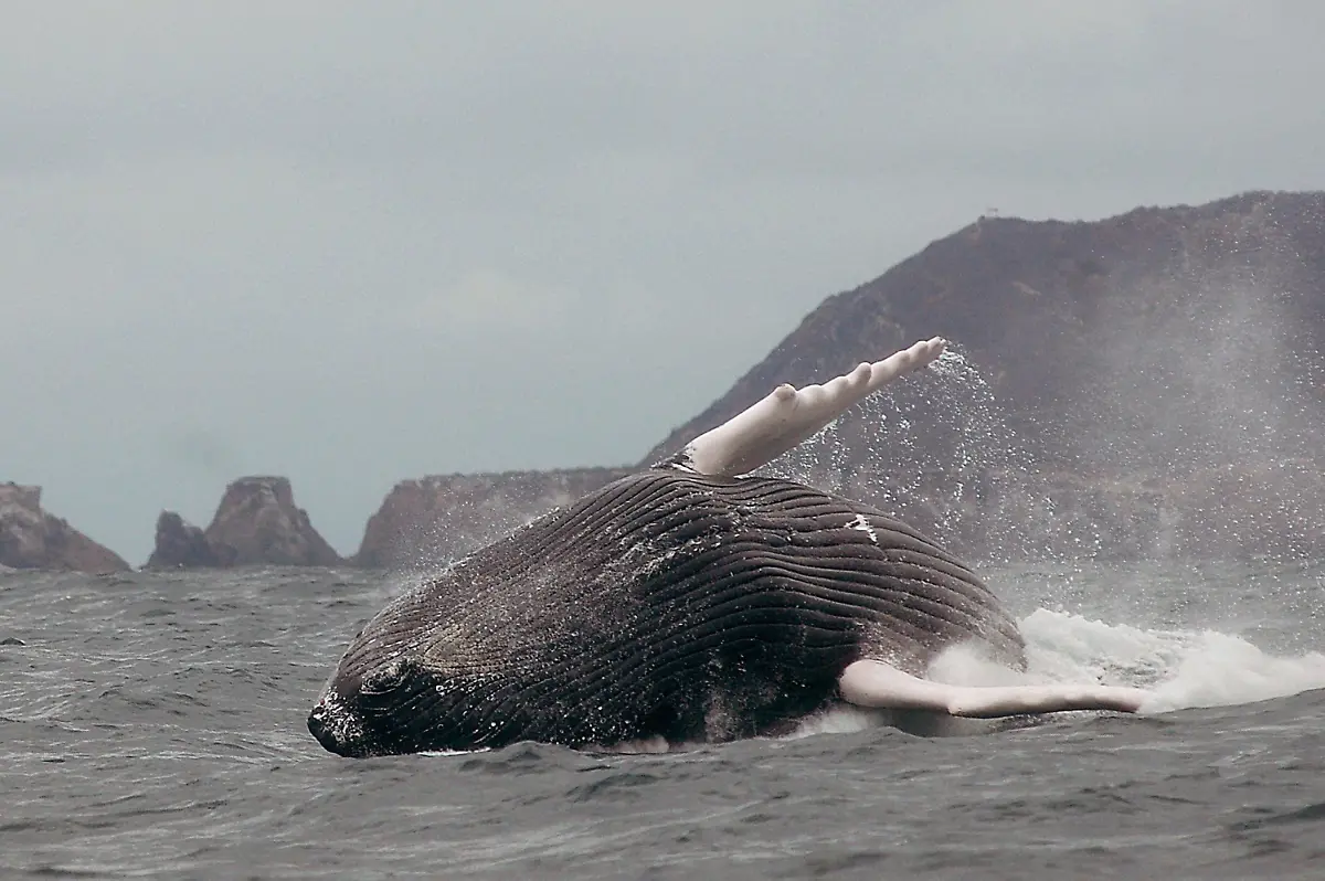 5f96ca1cd031a0b8fbeec5b25cf220b1