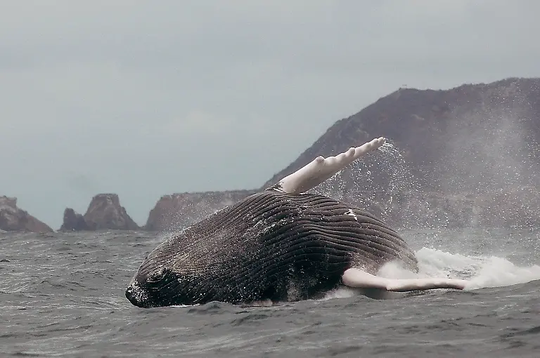 5f96ca1cd031a0b8fbeec5b25cf220b1