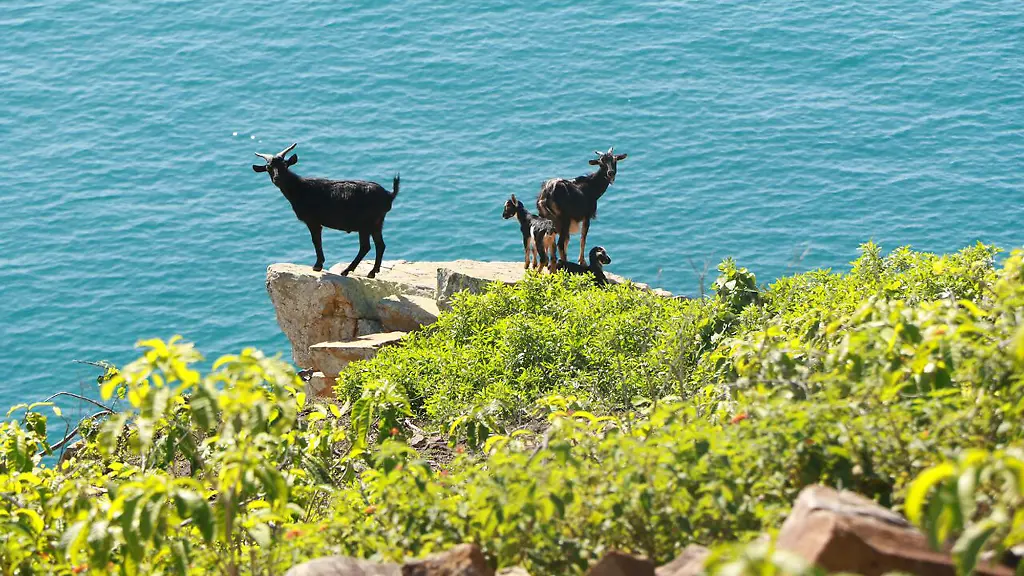 ACHTUNG-Nur-zur-redaktionellen-Verwendung-im-Zusammenhang-mit-der-aktuellen-Berichterstattung