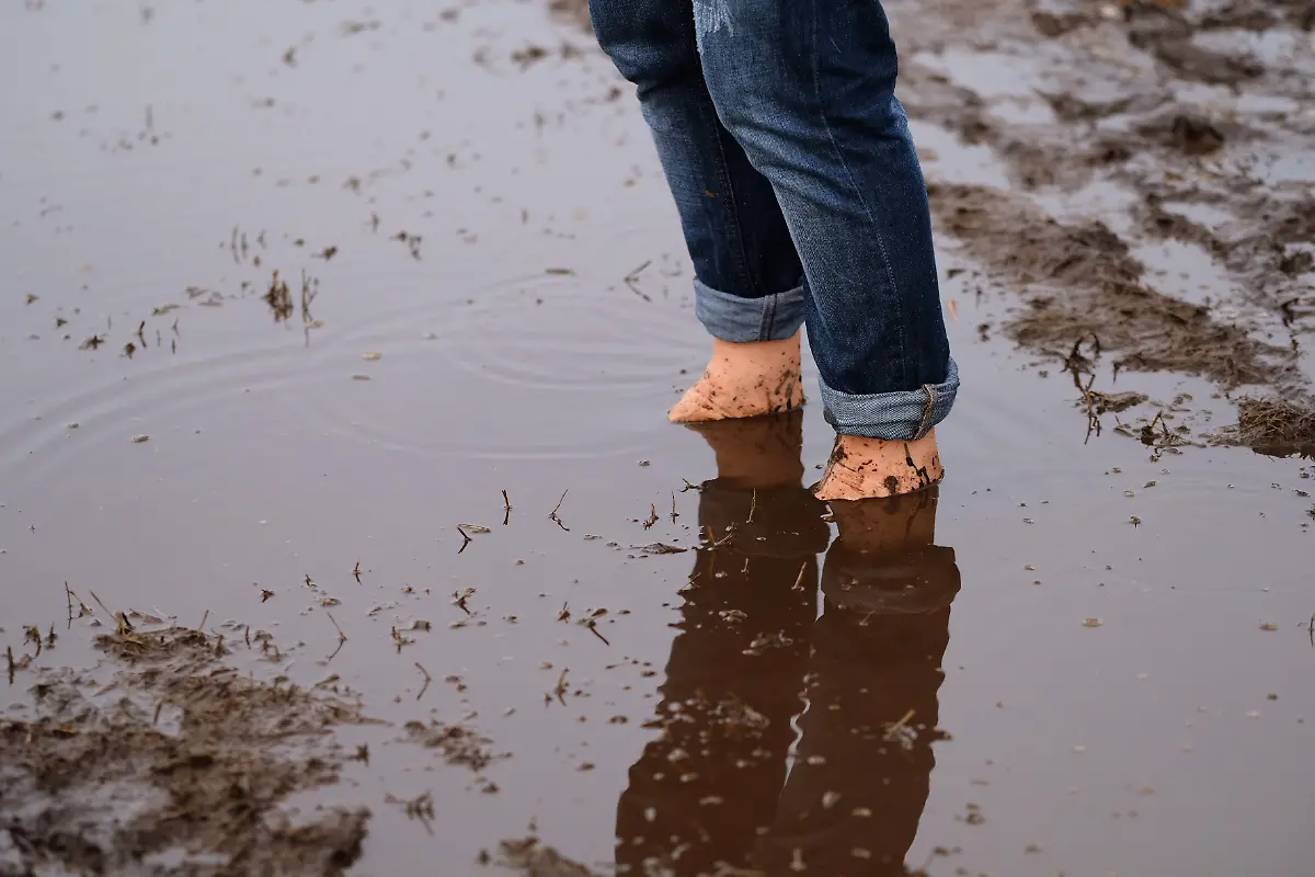 1d2728a6da4ccd5eaecb21d3fa628ad5