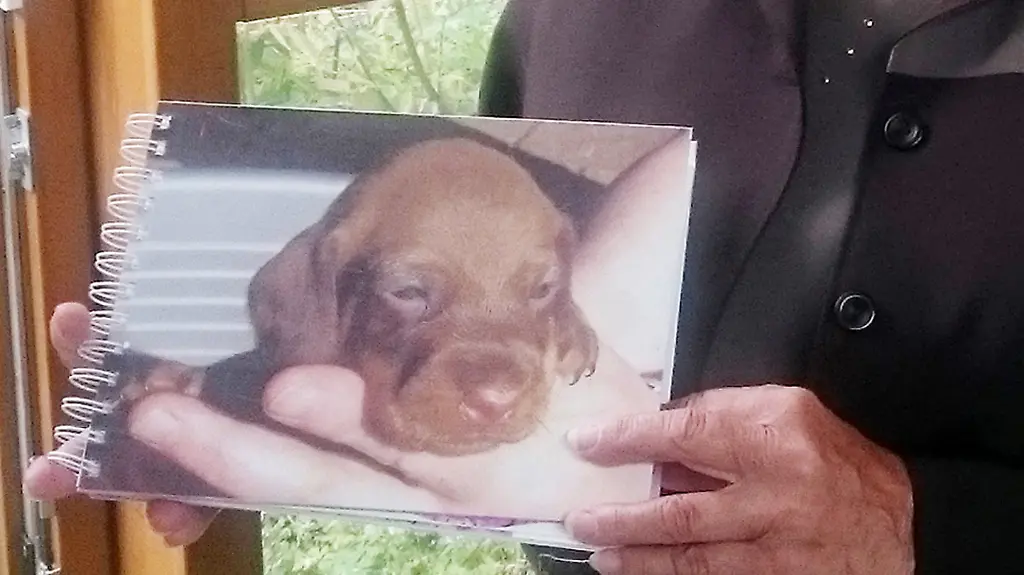 7101691f7e4ac98f578a8ed31f1b9b86