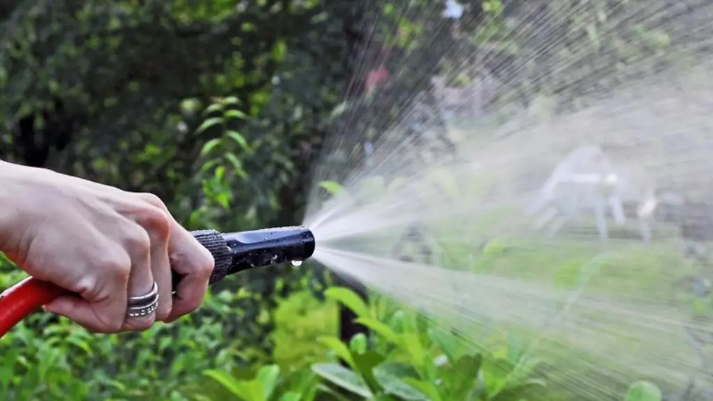 Wer-den-Garten-des-Nachbarn-waessert-sollte-vorher-einen-Haftungsverzicht-von-ihm-fordern-Denn-Hilfsbereite-haften-fuer-Schaeden-die-sie-auf-dem-Grundstueck-verursachen
