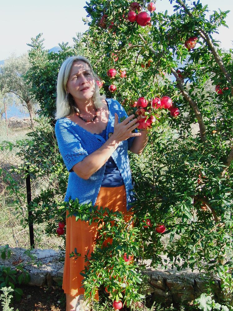 In ihrem Reich: Waltraud Alberti bietet seit Jahren Seminare zu Heilpflanzen auf Alonissos an.