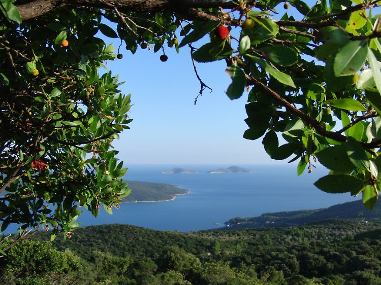 Alonissos ist umgeben von kleinen, unbewohnten Inseln. Im 2200 Quadratkilometer großen Meeresnationalpark sehen Urlauber mit Glück Delfine und Mönchsrobben.