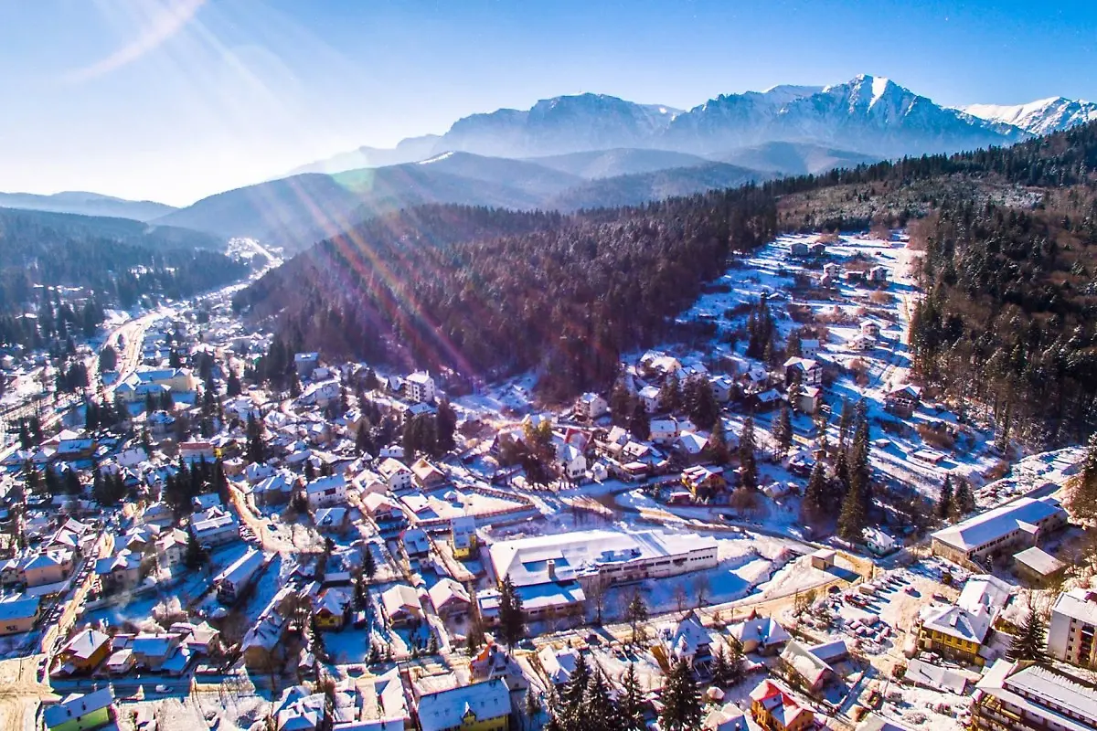 12465826-1226646437351412-6882312967462006473-o-1200x800