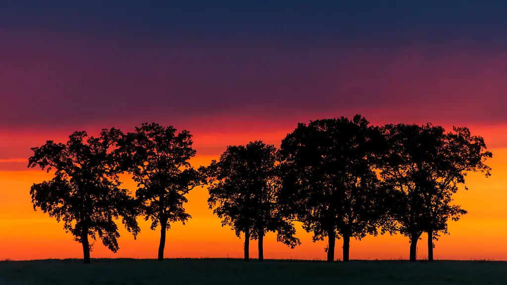 6a4ec7ecb1cb72d9d13f6b6a300fd67e