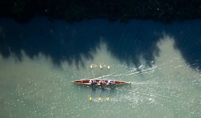 dd9aa4e8886f5563234478351ce64a89