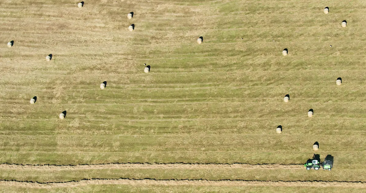 c4409f8b3b8b0f0e7698754a01946ef0