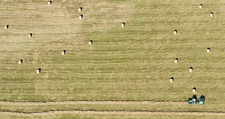 c4409f8b3b8b0f0e7698754a01946ef0