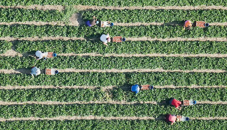 5b1d2163e8bfb79c9b7e48941bcaf4e3