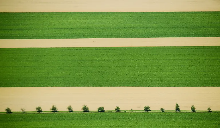 787a87fff237fefccb9dce3101d54200