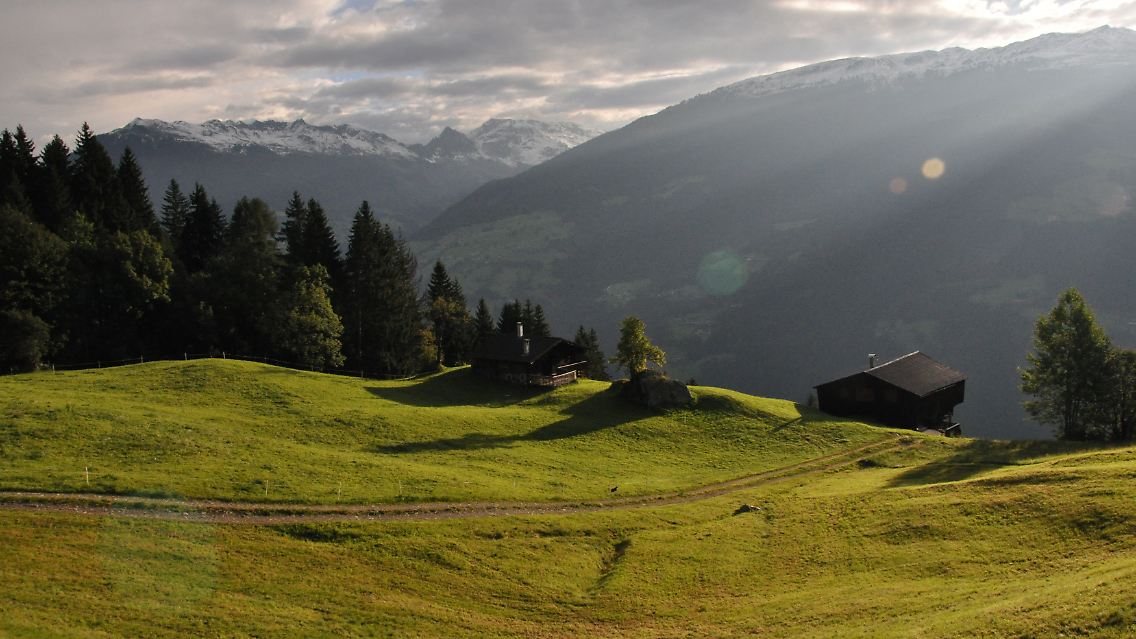 Der Traum vom idyllischen Senner-Dasein: Die Alm der Kirchmairs liegt hoch über dem Zillertal, fernab von Lärm und Hektik.