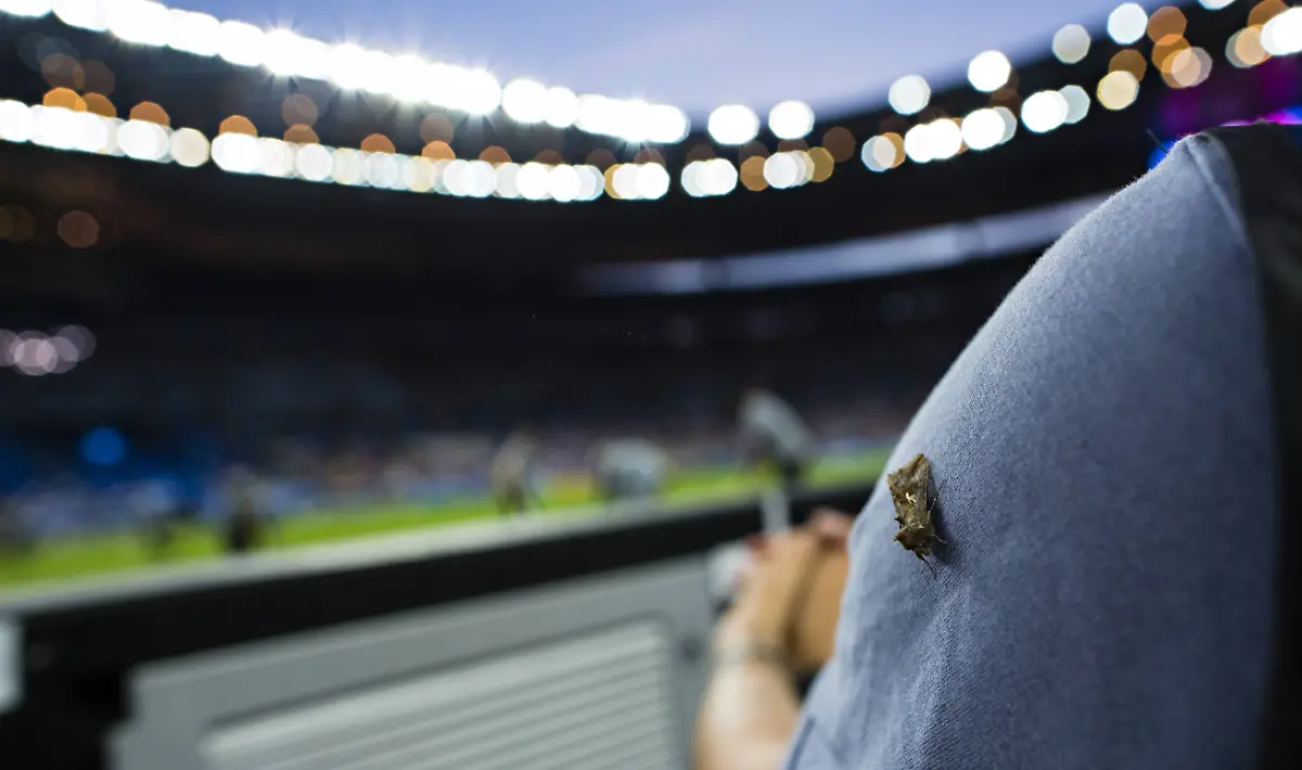 ecc09dc457a406012cc0fb6b9051c3ef