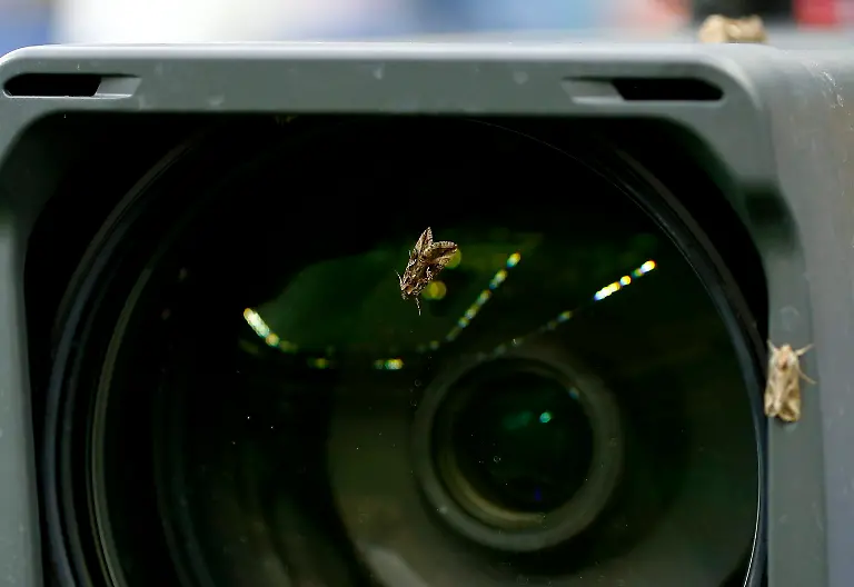 e29b08fc5e6dfcf793766459fb3695b3