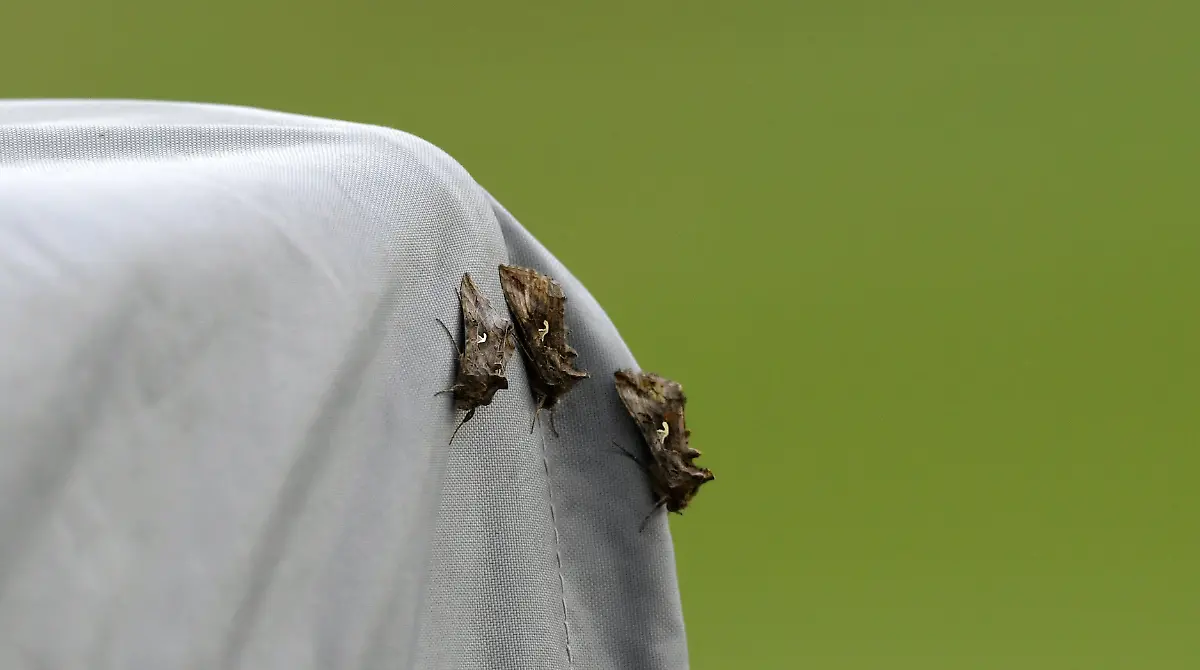 da3fdfd61560c3b37fff3e5c167bb28b