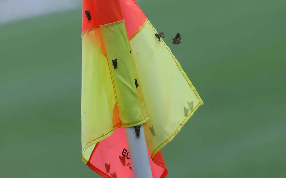 0f1ffde7b0fb711ef85788690fd9ef60