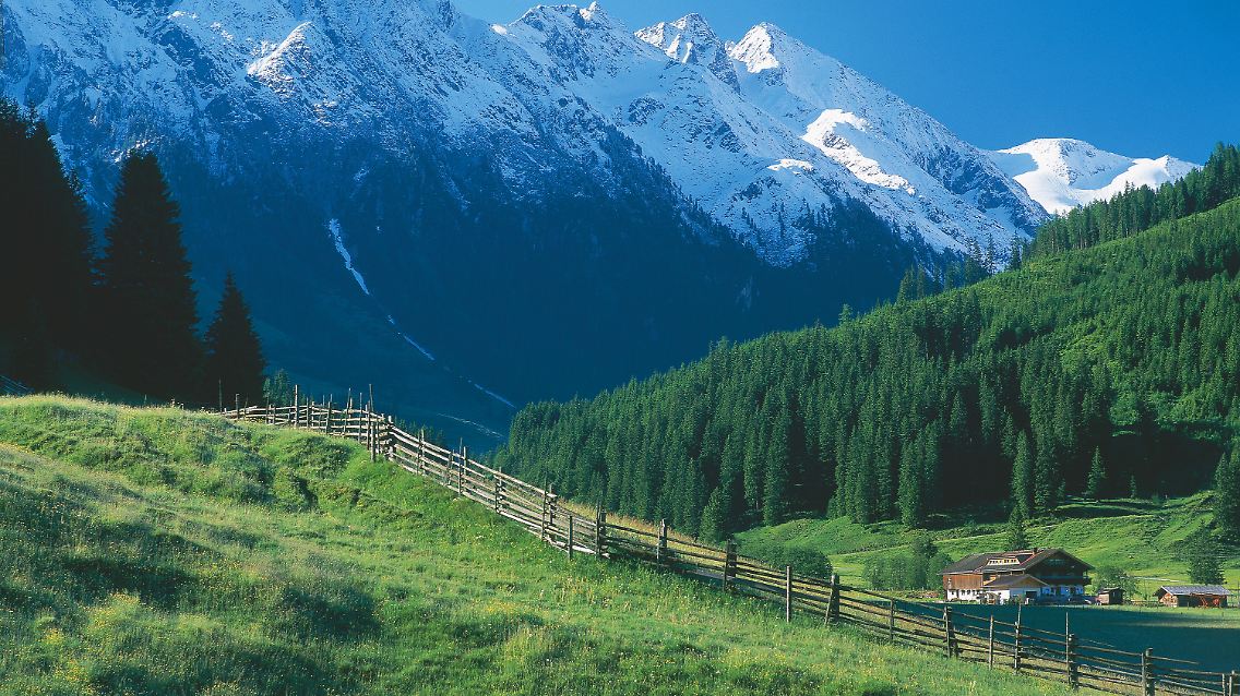 Erhabener Anblick: Die Gerlossteinwand im Zillertal ist tägliche Kulisse für das Leben auf der Alm.