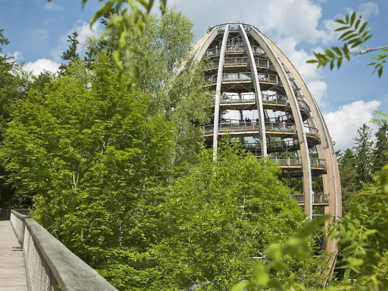 Auf-dem-Pfad-im-thueringischen-Nationalpark-Hainich-wandern-Besucher-durch-ein-UNESCO-Weltnaturerbe