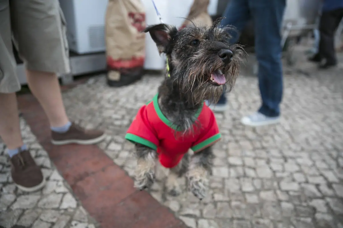 b1463798ef6eeffb57b029d49f6390cf