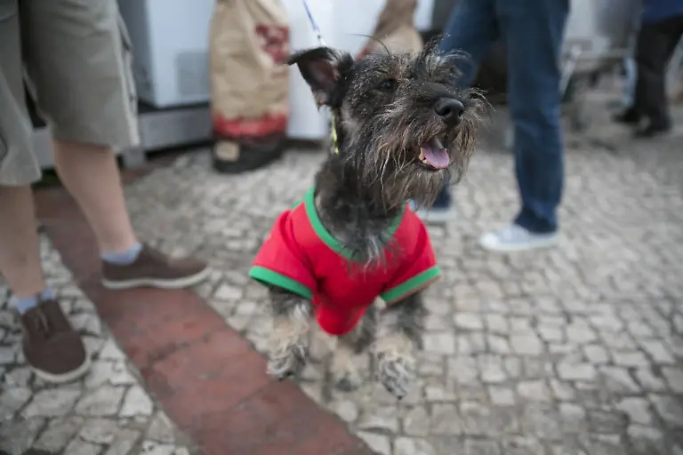 b1463798ef6eeffb57b029d49f6390cf