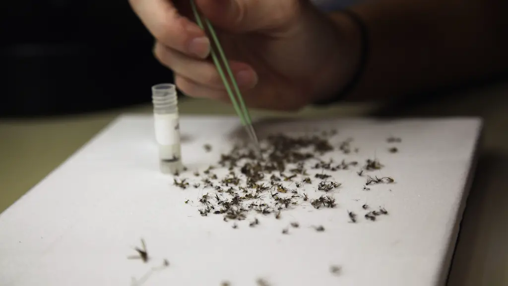 55c7975b6662449c49fba709aaf80a96