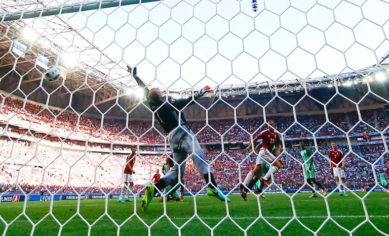 c22b620bc39424c156fd9306411bb088