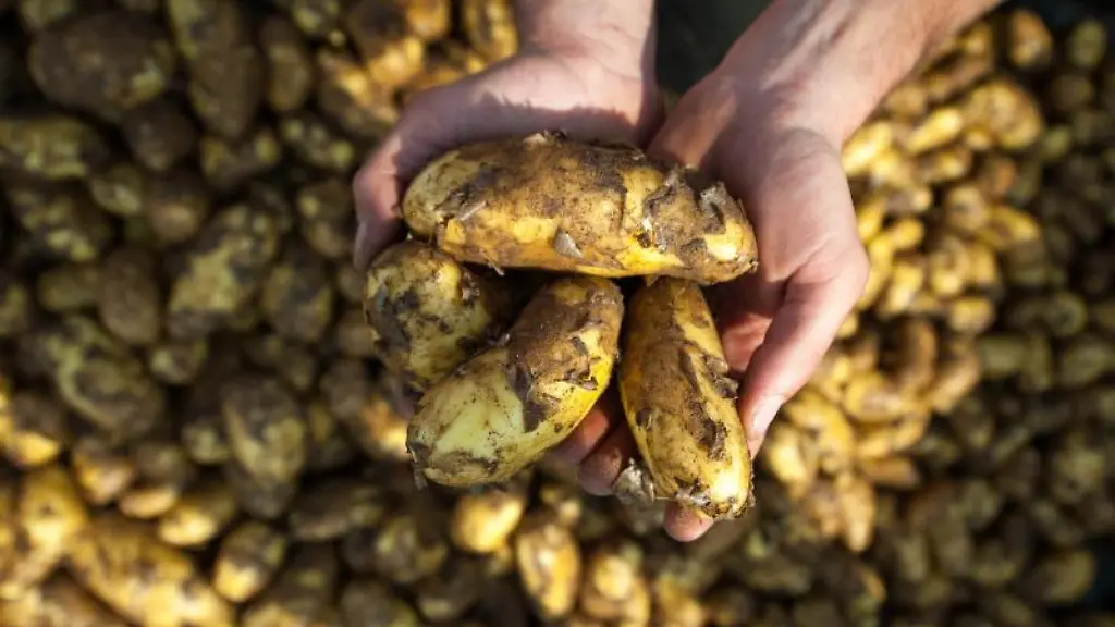 Wer-in-der-Landwirtschaft-arbeitet-und-Hautprobleme-hat-muss-reagieren