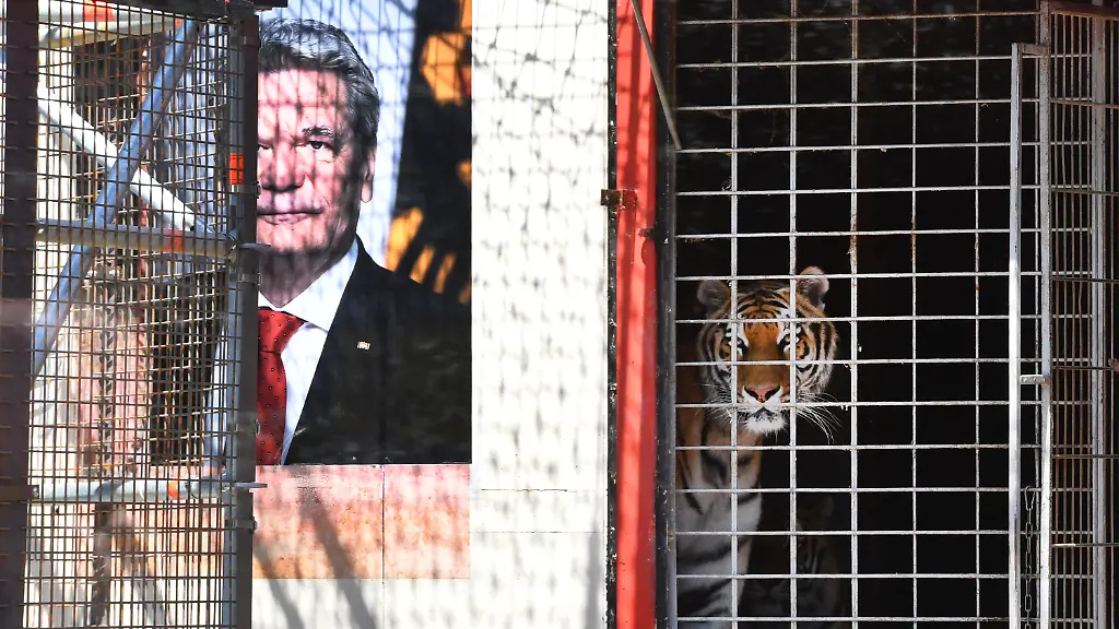 6b9662ce5abe447c4750e0cc944c67a5