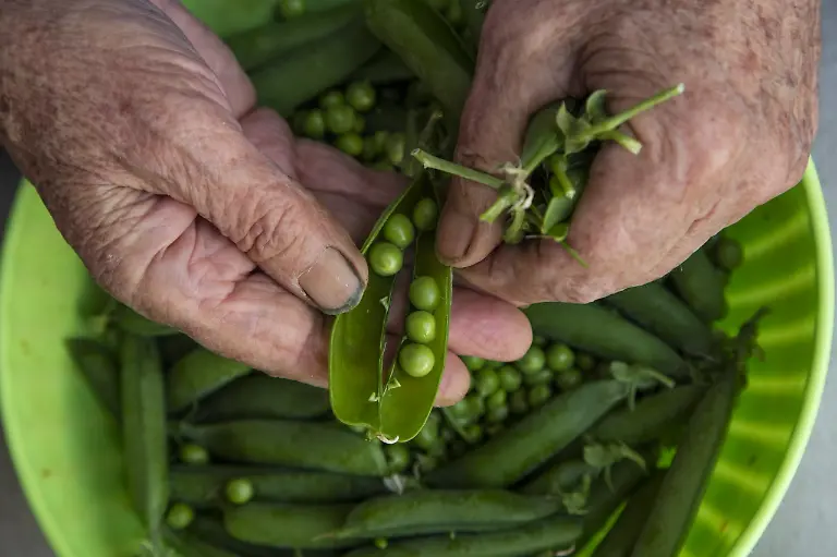 Bild-31-von-41-2016-05-10-066