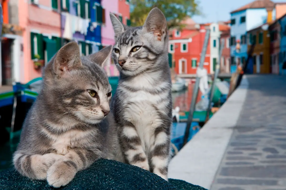 Bild-24-von-41-2008-10-24-069