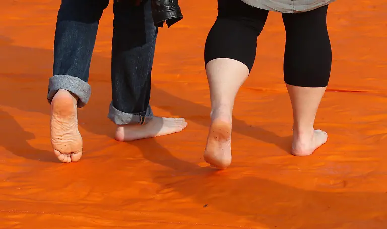 dde85b6ba6c5b14fa3ff413bfb6341e2