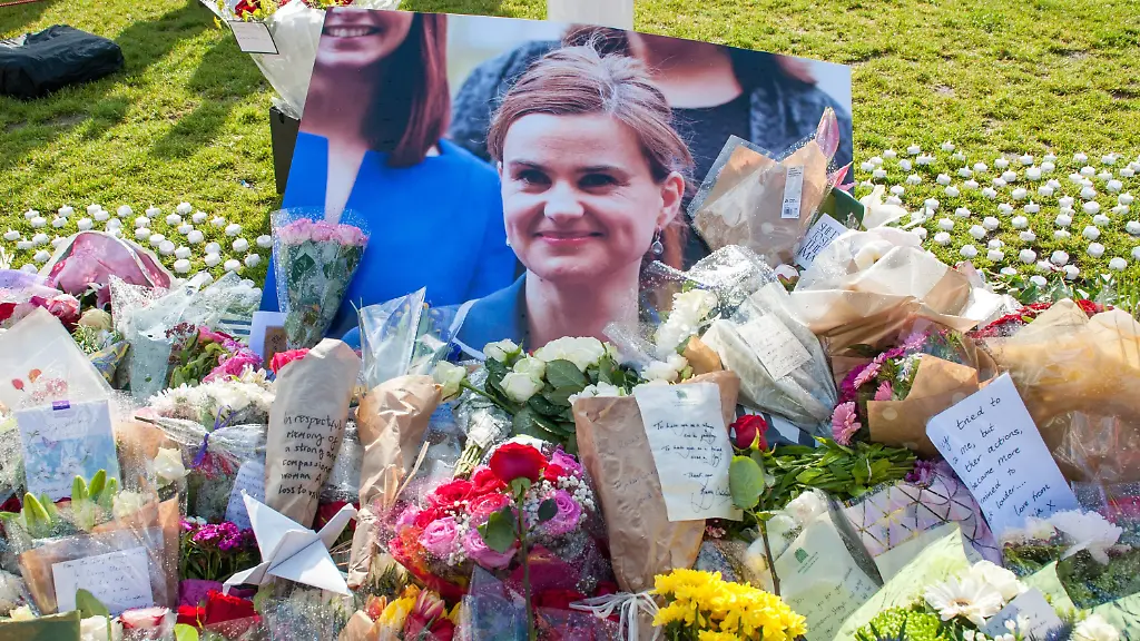 1bee19fd311ce87856d16c998c1987f8