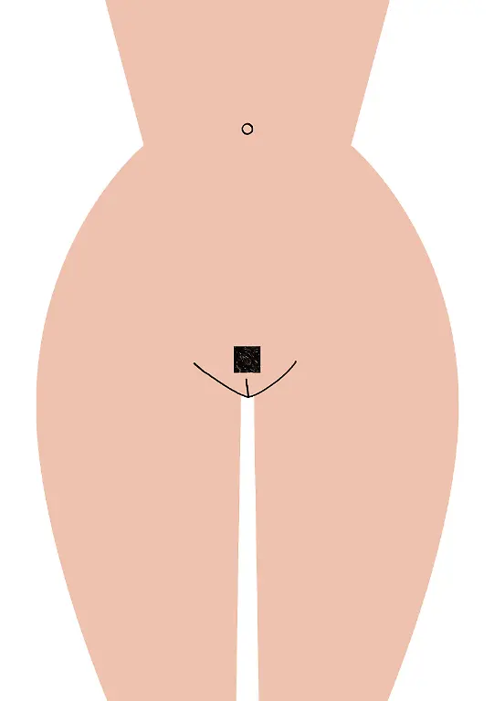 Pussycut-9-c-Caroline-Selmes-Illustration