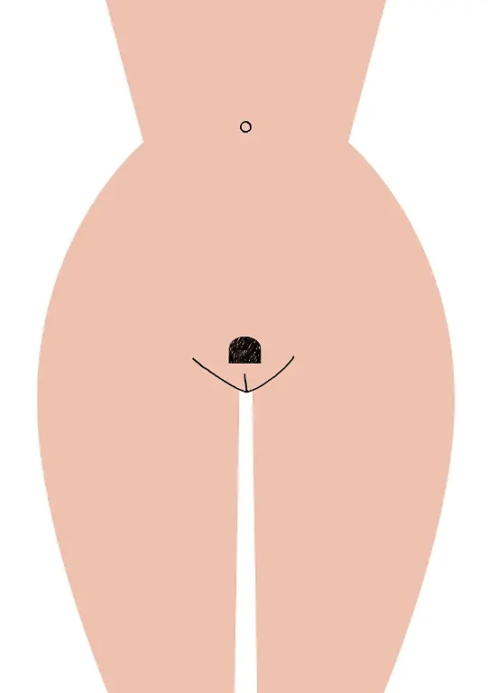 Pussycut-3-c-Caroline-Selmes-Illustration