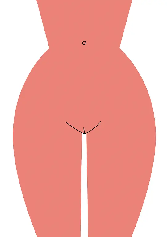 Pussycut-1-c-Caroline-Selmes-Illustration