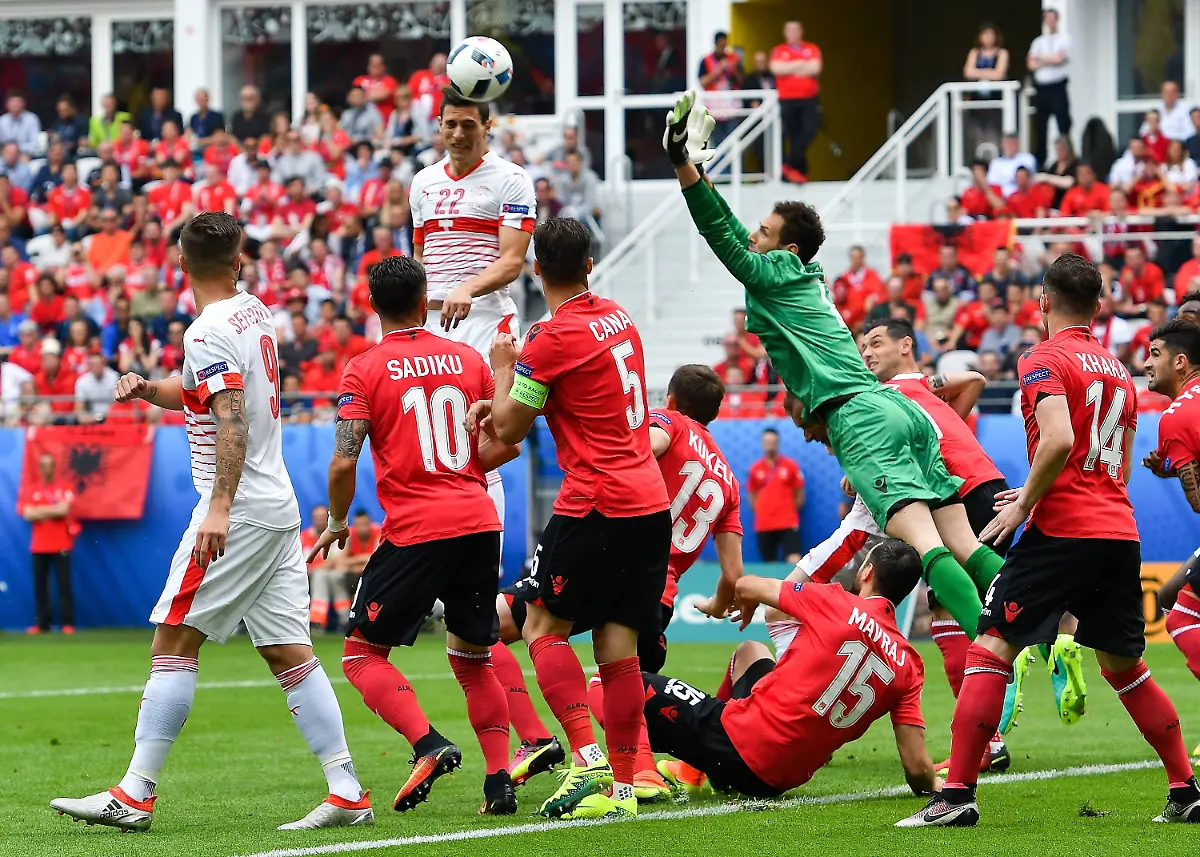 6f0e2a08b0e1c0fd8218e17056454899