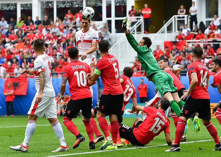 6f0e2a08b0e1c0fd8218e17056454899