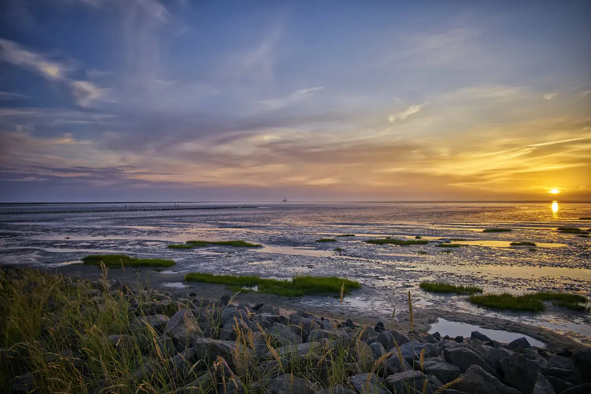 Wattenmeer