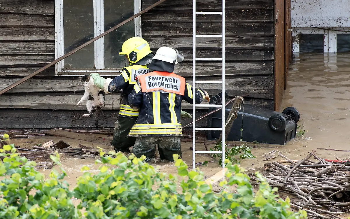 b299c517be82340baa5951dc6ac6631d