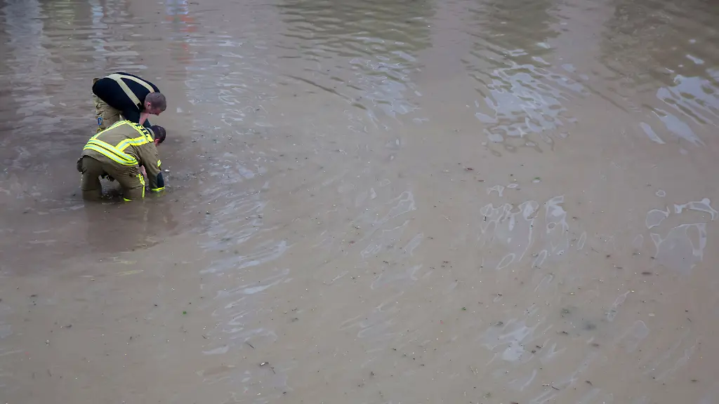 b143dad8eda838c29d127b46397b5523