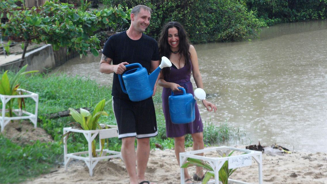 Touristen helfen beim Projekt "Eine Million neue Palmen für Koh Samui" ...