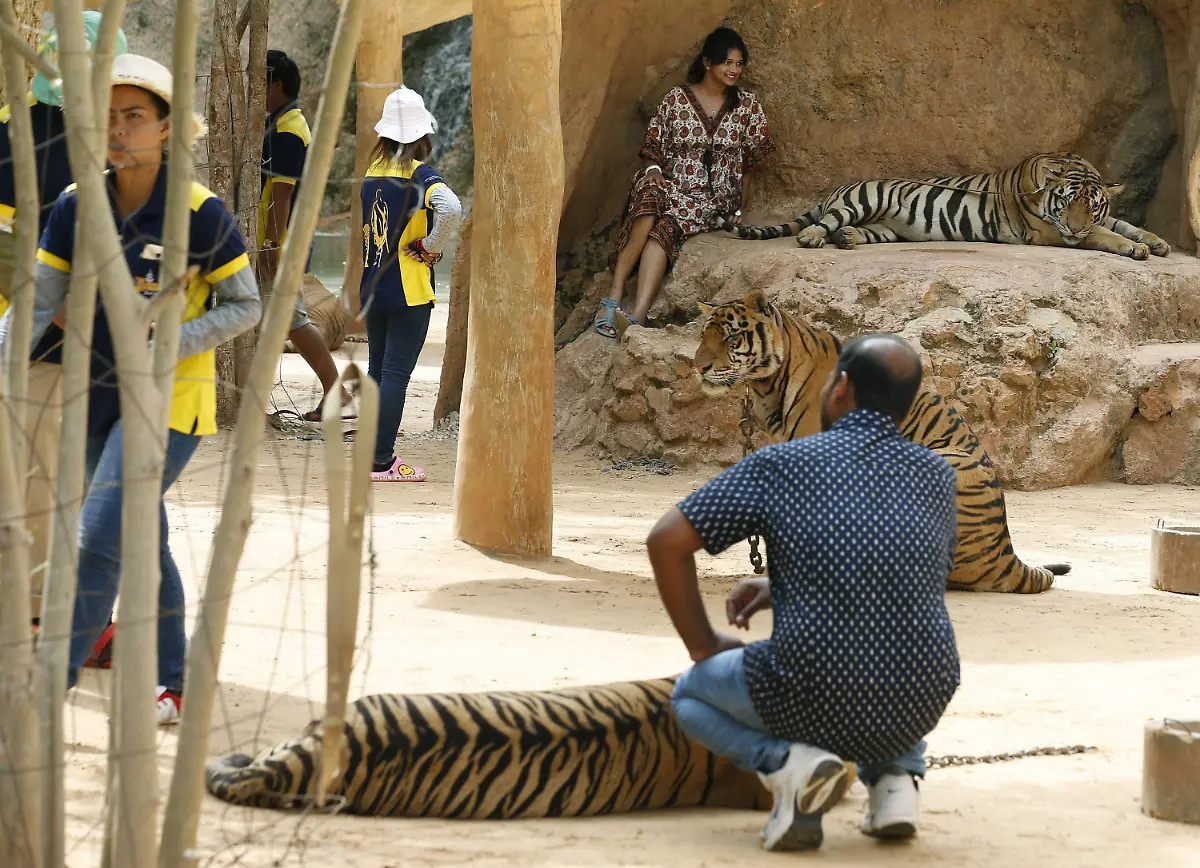 741853616ac489391efebd097d3b438a