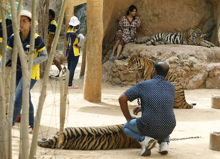 741853616ac489391efebd097d3b438a