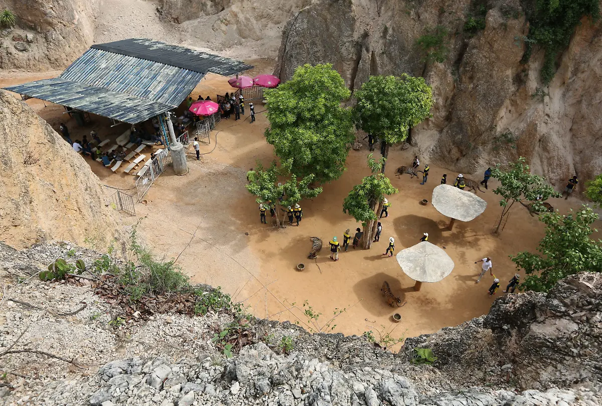 8af455fa8efc24184d2ffe75d7fb5fe4