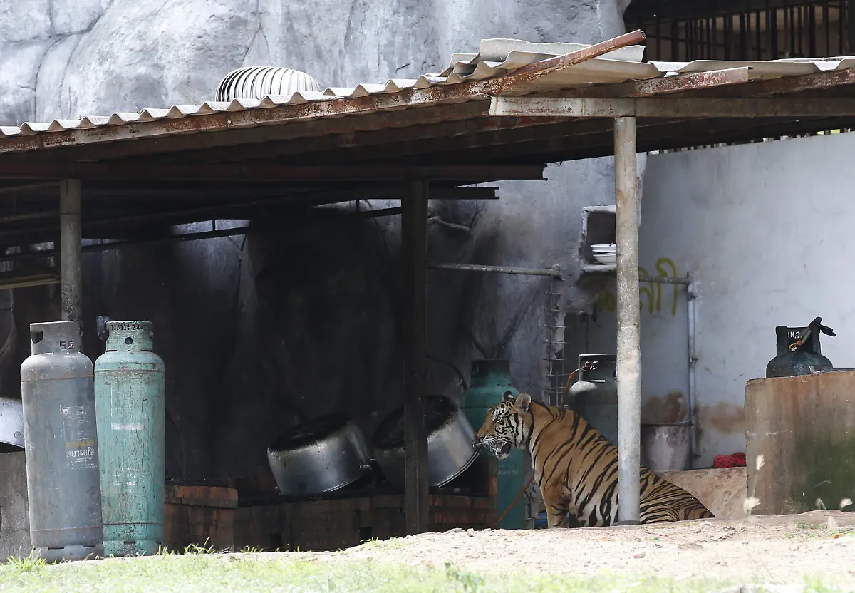 2bc11763546baba1e151ecb7c8d7b805