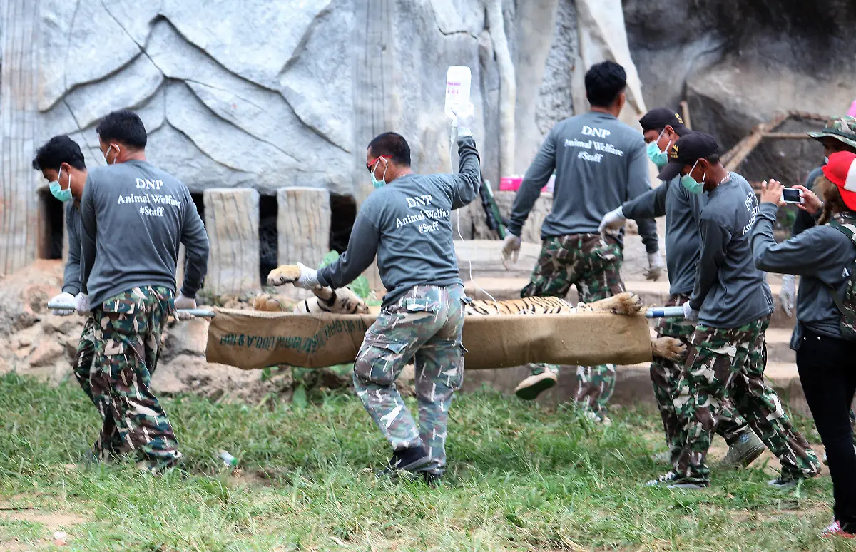 03823fa1060c2762a08eefd7bd7864d5