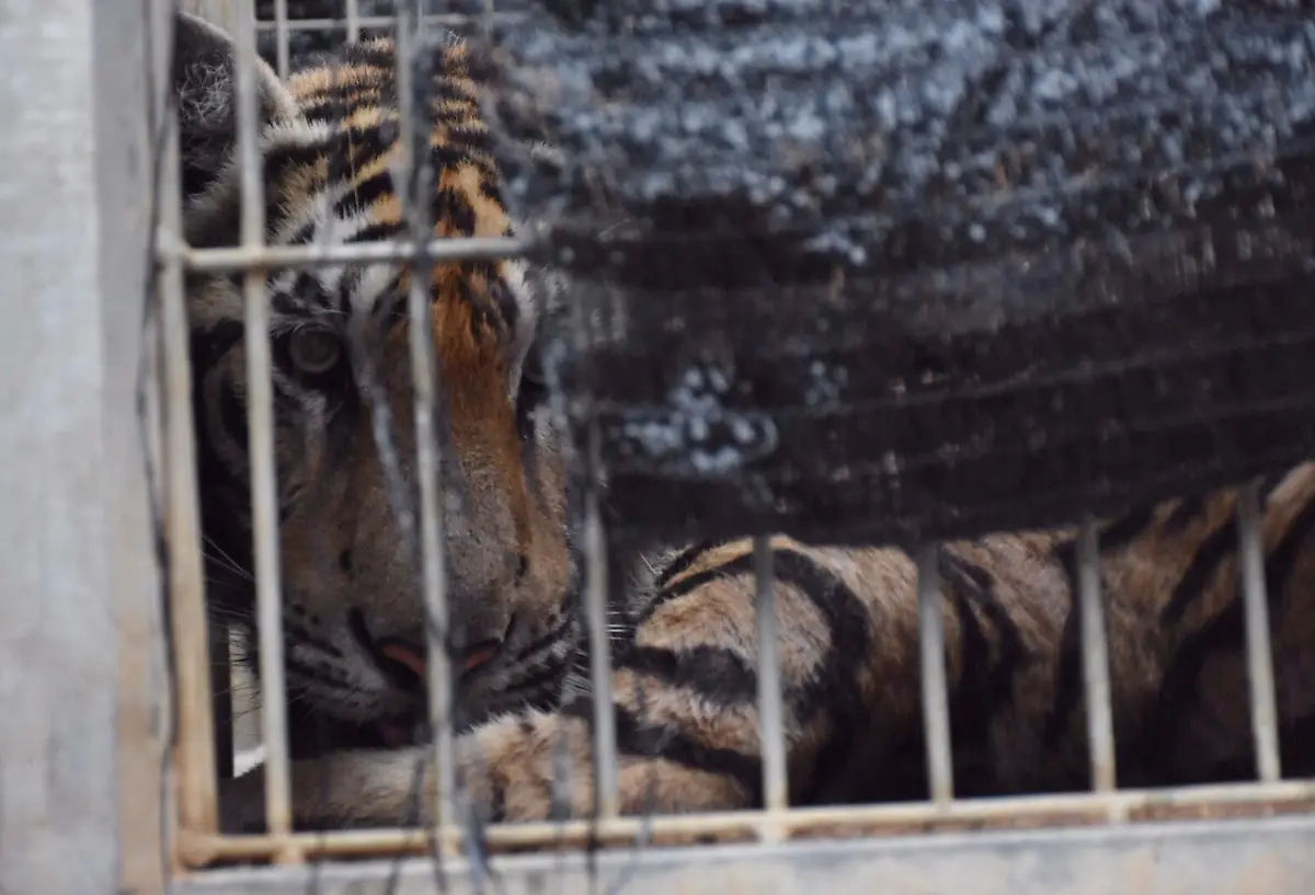 ed5ba67fb6d2c6f6e1e4985589239716