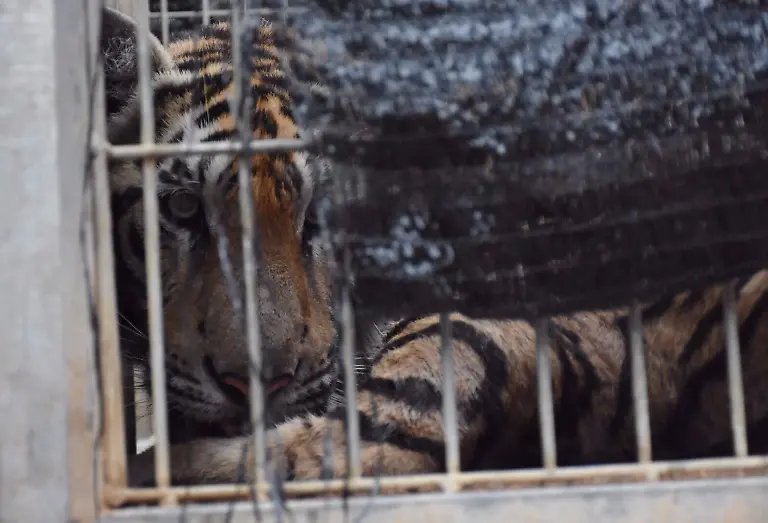 ed5ba67fb6d2c6f6e1e4985589239716